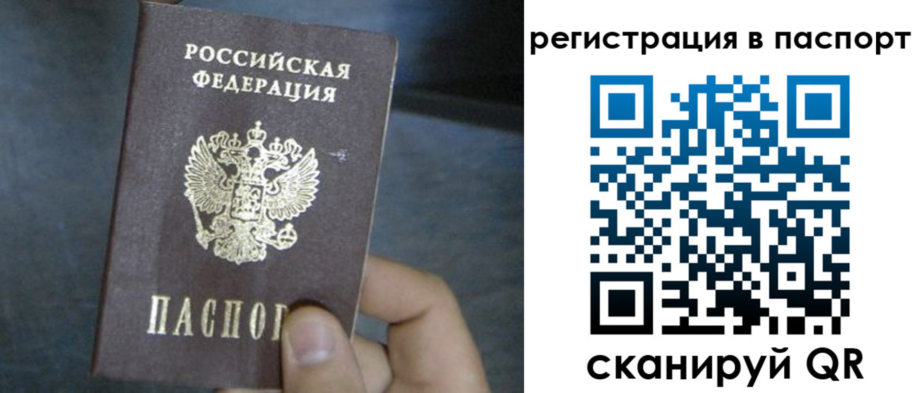 прописка 2025 в Звенигово